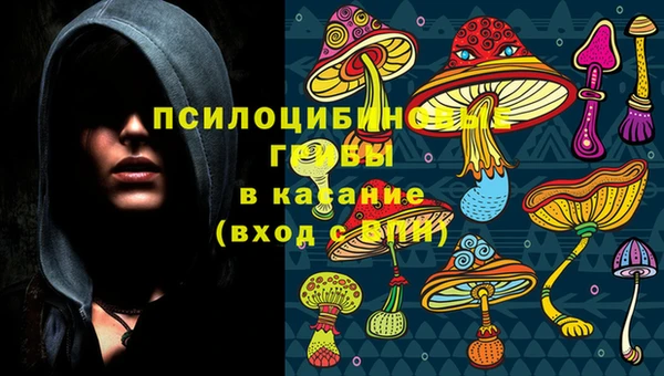 PSILOCYBIN Волоколамск