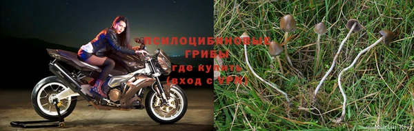 меф Снежногорск