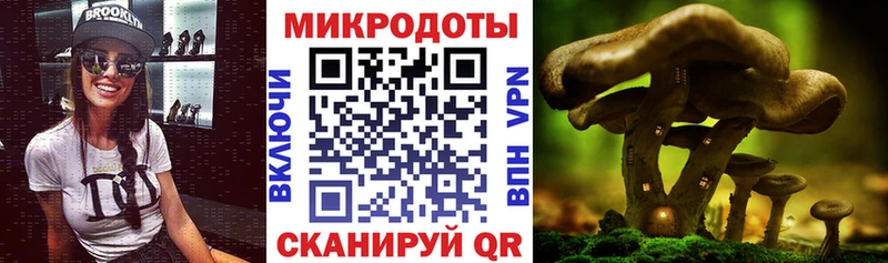 blacksprut tor  Волхов  Псилоцибиновые грибы Psilocybe  продажа наркотиков 