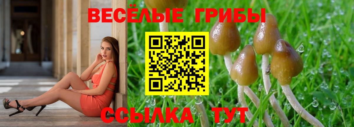 МЕТАМФЕТАМИН Волхов
